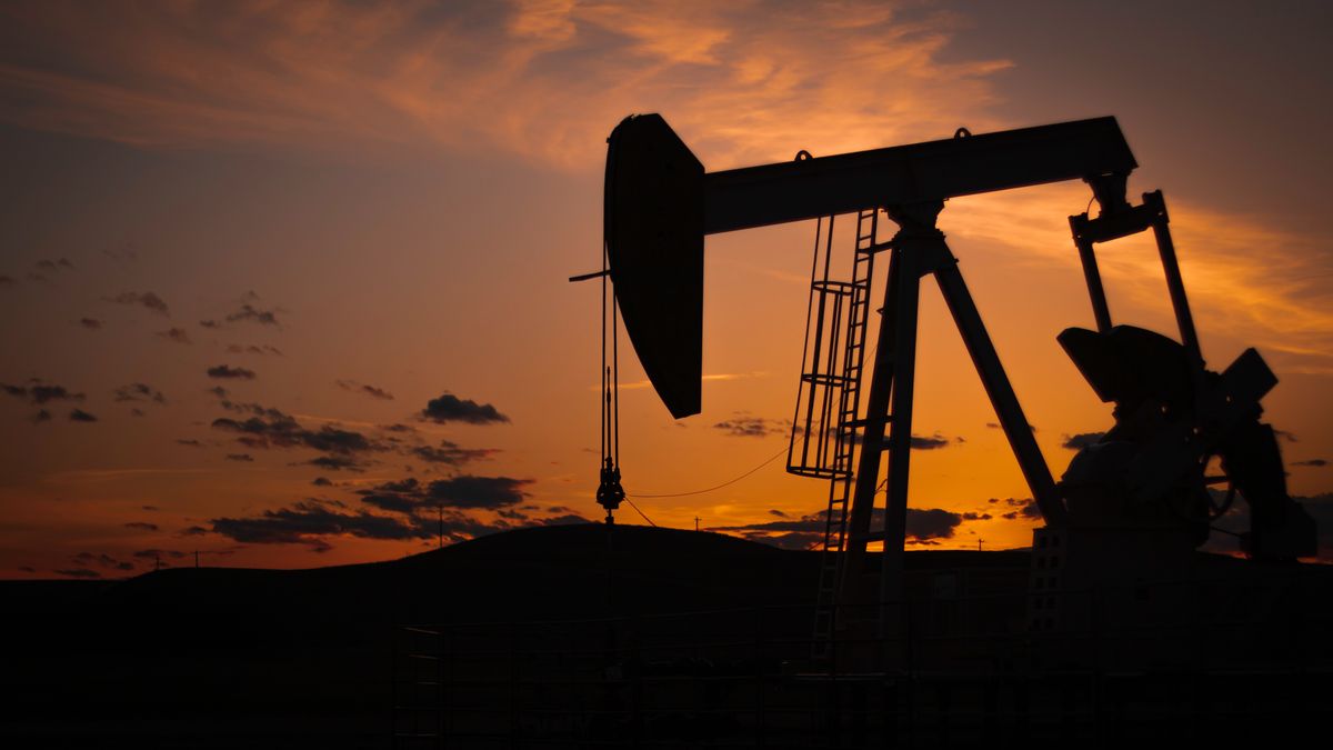 Ať Rusko sníží těžbu ropy a vydělá, vyzývá viceprezident Lukoilu